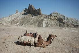 Camel 
ہُشتر
Hoshter
ھُشتر ادا جُک اتگ۔ 
Keywords: balochistan