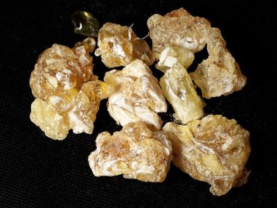 Frankincense (Boswellia serrata)
کوندریک
Kondrik
کندرک یک ٹوہیں ءُ ساہگ داریں درچک ءِ۔ اے درچک دار ءَ چہ سُسُر پیداک بیت۔ اے سُسُر ءَ کندرک گوش انت ، کندرک ءَ پہ تہلگ کار مرز کن انت، کندرک ءَ چو سوچُکی پیما بُن دیینت ءُ دوتاں وشیں بوہ تالان بیت ۔

