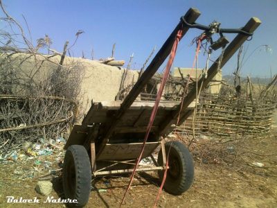 Donky cart
ھر گاڑی
Har gadi
ھرگاڑی چونایا ڈننّی چیزے بلے مرچاں بلوچستان ءَ ہم ھرگاڈی کارمرز کن انت ۔ ھرگاڑی  ءَ چہ سمات ءُ ھاک ءُ سوچگی دار ءُ ڈنگر ءُ پیش ءُ ہیشت ءُ بلاک ، ریک ءُ ناہ ءُ کاہ  کش انت ۔ 
