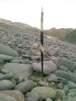 Porcupine spike 
سیکون ءِ شل
Sekon e shill
سیکون یک کسانیں جناور ءِ کہ کاہ چریت ۔ اے روگ ءَ باز کم رفتار انت ۔ روچ ءَ وتی ھونڈ ءَ وپسیت ءُ شپ ءَ درکیت ءُ درچک چریت ۔ بلوچستان ءَ گیشتر کشاراں تاوان دنت ۔ اے سیاہ رنگ ءِ اشیے پُٹانی توک ءَ دگہ شل مان انت  کہ وتی رکینگ ءِ ھاتر ءَ شلاں چو تیر ءِ وڑا وتی دشمن ءَ پیر کنت ۔  مکران ءِ کوہاں سیکوں است انت ۔ 
