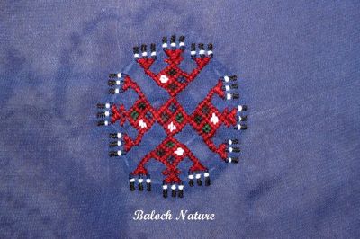 Balochi Design 
ٹِک
Tekk
وھدے ہمراہیا بلوچی دوچاں ہم باز دیم رہی کتگ ۔ اے ٹِک مرچاں گیشتر بلوچ جنیں وتی سریگ ءُ چادراں دوچنت ءُ  پہ ۔ اے ٹک مرچاں 300 کلدار یک دانگ ءِ کریہ گرانت ۔ ءُ یک چادر 25 ٹک پر کن انت ۔ چریشیا چہ مالوم بیت کہ بلوچ پہ دوچ ءَ باز زر ھرچ کنت ۔ 

