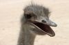 Filename=Hoshter_morg__0441.JPG
Filesize=121KiB
Dimensions=1350x900
Date added=Apr 24, 2013 Hoshter_morg__0441.JPG