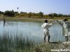 Mahig_e_shikar_0077.JPG