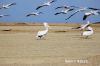Filename=Mish_morg__4638.JPG
Filesize=131KiB
Dimensions=1350x900
Date added=Jun 25, 2013 Mish_morg__4638.JPG