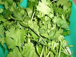 Coriander
گہنیچ
Gehnich
گہنیچ کسانیں بوٹگے - بلے اشیا مسالہ ء جاہ ء کار بندانت - گینیچ بلوچستان ء اسلی بوٹگ نہ انت بلے اے چہ انڈیا درآمد کنگ بوتگ - مرچی باندا بلوچانی نارُشت بے گہنیچ ء ھچ تامدار نہ بنت - چمیشکا گہنیچ ء نیادی انت - گہنیچ ہما تہلگ یا مسالہ انت کہ اشیے تاکاں بگرتاں دانگاں دروستاں کار گرانت - انڈیا ء اُنڈال ء چوپنت او کار گرانت 


