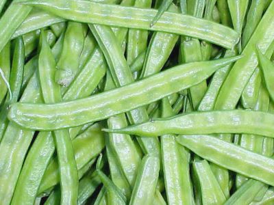 Gouar . Cyamopsis tetragonolobus
گوار
Gouar

گُوار یا گُوارُک یک دھل ء زانگ بیت - گہار کسانیں بوٹگے کہ چریشیا گہارے پسل تیار بیت - گہار اول سرا نازرکیں کوسرک پر کنت کہ پہ ناروشت ء کارمرز کن انتے - وھیکہ مزن او ھُشک بیت پہ دلوتاں کارمرز کن انت - اے گرماگی دھل ء -۔

