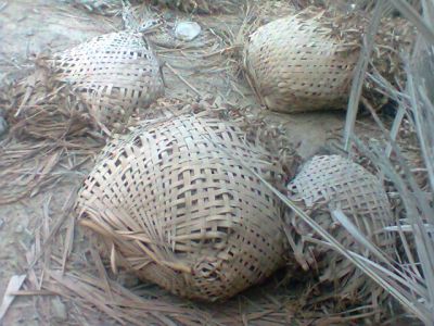 سُند
Sond
سُند چہ داز ءِ پیش ءَ جوڑ کنگ بیت ۔ بلوچستان ءَ سُند ءَ زُورنت ءُ مچّے ہوشاں سُند کن انت ، تنکہ ایشاں تاوان ءِ مراسیت ۔  نکینک ءَ ہم سُند ءَ پنّاد انت  ۔ 
سُند ءَ درپ ہم کار گر انت ۔ 
چوشکہ ۔ گوک ءِ روت انت کہ سُند ءَ نہ ہوشت ات ۔
    
