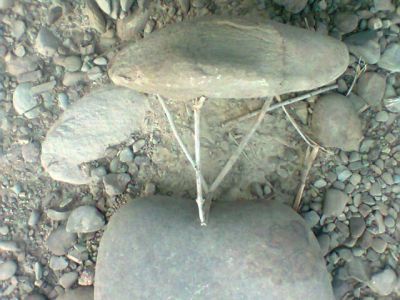 Baloch classic bird haunter 
کلبج
Kalabj
کلبج یک پتنین سنگ ننکہ وانگ نمونگیں سنگ ءَ چہ جوڑ بیت ۔ ایشیا دگہ سنگ ءِ کرّا  کسانیں دو سے لٹّکانی مدت چہ مک کن انت ۔ اشیے تہی نیمگا دان ریچ انت ۔ تنکہ بالی مُرگ دانانی چنگ ءُ ورگا ءَ بیاہینت ۔ مُرگ دانانی چنگ ءُ وراگ ءَ ہمے لنٹانی سرا وتی پاداں ھیر کن انت ءُ لٹک سراپنگ ءُ وانگ مُرگاں چیر ءَ کنت ۔ ہمے وڑا مُرگاں شکار کن انت ۔ 

