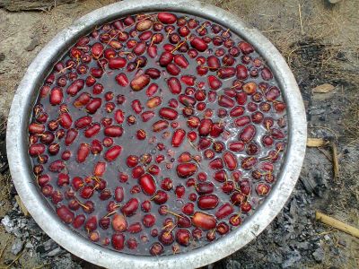 Boiling Date
آرگ
Aarag
آرگ یا آرک  بلوچستان ءِ یک نمونگ ءِ کوھنیں ھُشکیں میوہ انت ۔ آرگ ءِ جوڑ کنگ ءَ گیشتر علینی ءُ مزّاتی ءِ رنگاں لیڑ دیینت ۔  پدا ھُشک ءِ کن انت ۔ آرگ باز وش انت  ۔
Keywords: baloch nature
