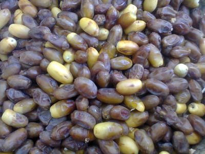 Palm date fruit 
ناہ تاپ انت
Nah tap ant
ناہ پہ ھُشک کنگ ءِ واستہ ناہ ءِ کوت تاپ انت ۔ 
