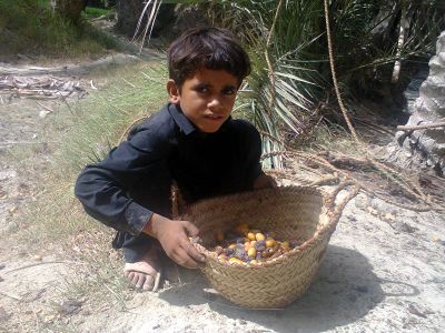 Baloch boy
مچ بُنی
Mach bony
وھدے کہ آمین بیت مچ ءِ ناھانی روپک ء واستہ یک مردمے مچ ءِ سرا سر کپیت بلے یک مردم ء مچ ء بن ءَِ بیت روپوک ناھاں گوشان ء کنت بلے وھدے کہ گورشان پُر بیت گڈا ناھاں کپات ءَ کنت ہوئند زوریت کپاتا بند ات ءُ جہل ء دیم دنت۔ مچ بنے مردم کپات ء ناہاں زوریت ء سپت ء مان کنت ہمے وڑا مچ بنی مردم پکار بیت ۔ 
