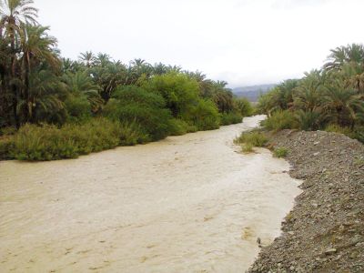Rain water
شاپک دشتاری کور
Shapuk dishtari kohr
