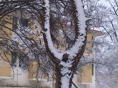 Snow Quetta Balochistan
برفباری انت شال ءَ
Barfbari ent Shal a 
